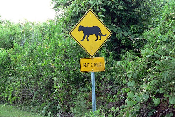 panther crossing sign